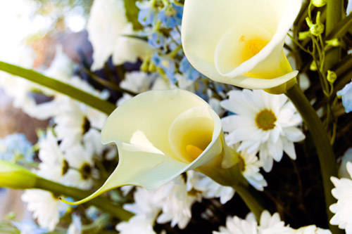 funeral wreath